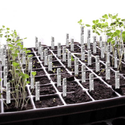 planttags.com.au-plant-tray-tags