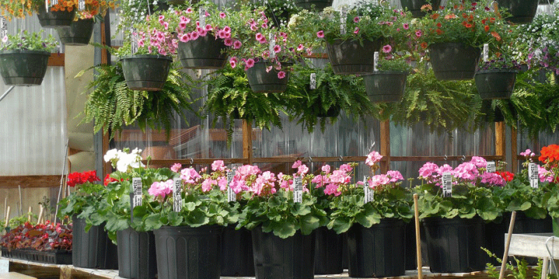 plant-tags--for-flowers