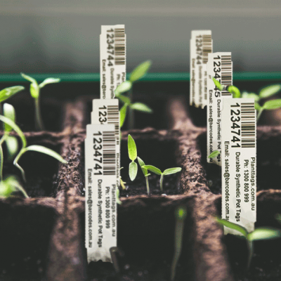 planttags.com.au-seeding-trays-tags